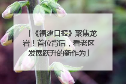 《福建日报》聚焦龙岩！首位背后，看老区发展跃升的新作为