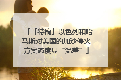 「特稿」以色列和哈马斯对美国的加沙停火方案态度显“温差”