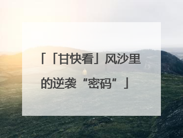 「甘快看」风沙里的逆袭“密码”