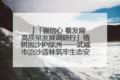 「强信心 看发展·高质量发展调研行」植树固沙护绿洲——武威市治沙造林筑牢生态安全屏障见闻