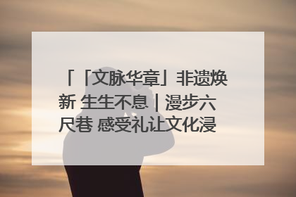 「文脉华章」非遗焕新 生生不息｜漫步六尺巷 感受礼让文化浸润的“巷”往生活