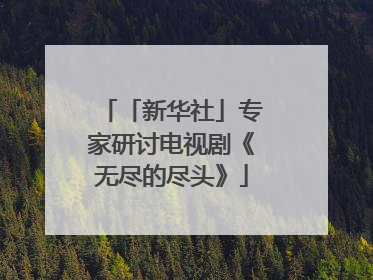 「新华社」专家研讨电视剧《无尽的尽头》