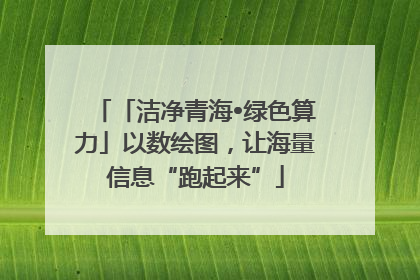 「洁净青海•绿色算力」以数绘图，让海量信息“跑起来”