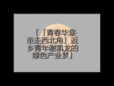 「青春华章·重走西北角」返乡青年谢凯龙的绿色产业梦
