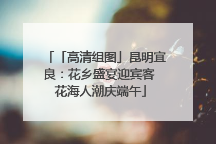 「高清组图」昆明宜良：花乡盛宴迎宾客 花海人潮庆端午