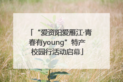 “爱资阳爱雁江·青春有young”特产校园行活动启幕