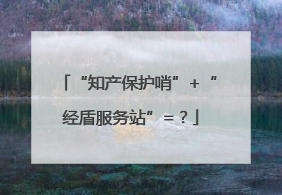 “知产保护哨”+“经盾服务站”=？