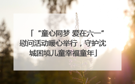 “童心同梦 爱在六一”慰问活动暖心举行，守护沈城困境儿童幸福童年