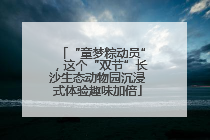 “童梦粽动员”，这个“双节”长沙生态动物园沉浸式体验趣味加倍