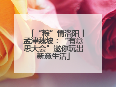 “粽”情洛阳丨孟津魏坡：“有意思大会”邀你玩出新意生活