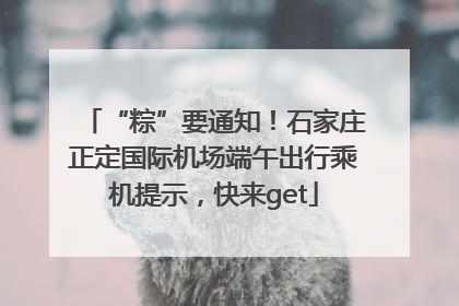 “粽”要通知！石家庄正定国际机场端午出行乘机提示，快来get