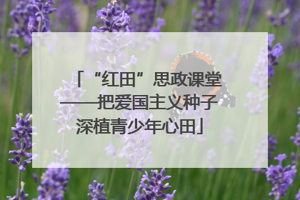 “红田”思政课堂——把爱国主义种子深植青少年心田