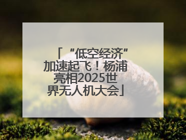 “低空经济”加速起飞！杨浦亮相2025世界无人机大会