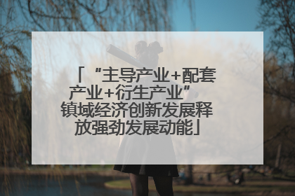 “主导产业+配套产业+衍生产业” 镇域经济创新发展释放强劲发展动能