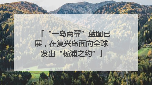 “一岛两翼”蓝图已展，在复兴岛面向全球发出“杨浦之约”