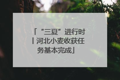 “三夏”进行时丨河北小麦收获任务基本完成