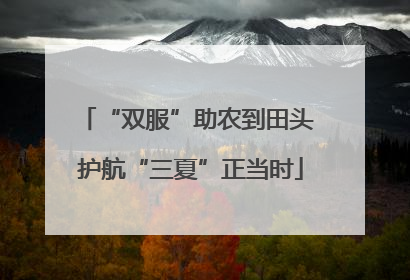 “双服”助农到田头 护航“三夏”正当时