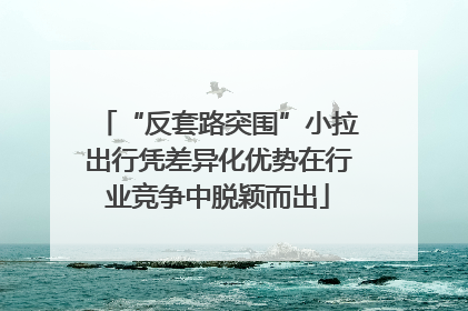 “反套路突围”小拉出行凭差异化优势在行业竞争中脱颖而出