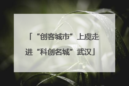 “创客城市”上虞走进“科创名城”武汉