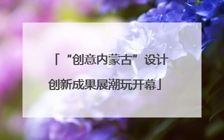 “创意内蒙古”设计创新成果展潮玩开幕