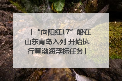 “向阳红17”船在山东青岛入列 开始执行黄渤海浮标任务