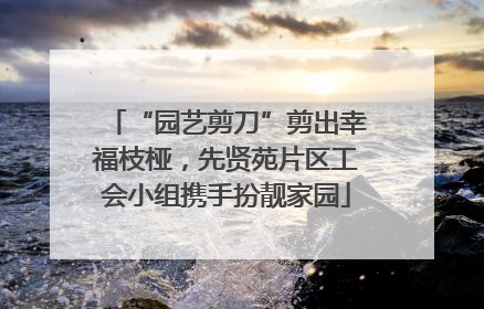 “园艺剪刀”剪出幸福枝桠，先贤苑片区工会小组携手扮靓家园