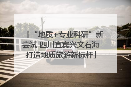 “地质+专业科研”新尝试 四川宜宾兴文石海打造地质旅游新标杆