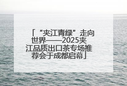 “夹江青绿”走向世界——2025夹江品质出口茶专场推荐会于成都启幕