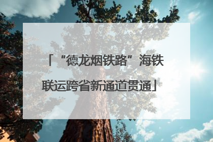 “德龙烟铁路”海铁联运跨省新通道贯通