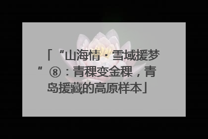 “山海情・雪域援梦”⑧：青稞变金稞，青岛援藏的高原样本