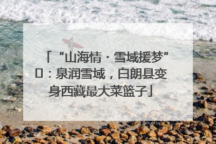 “山海情・雪域援梦”⑪：泉润雪域，白朗县变身西藏最大菜篮子