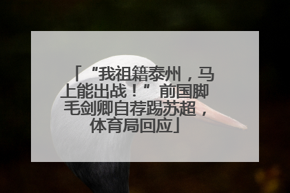 “我祖籍泰州，马上能出战！”前国脚毛剑卿自荐踢苏超，体育局回应