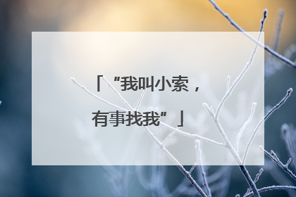 “我叫小索，有事找我”