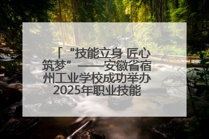 “技能立身 匠心筑梦”——安徽省宿州工业学校成功举办2025年职业技能活动周各项活动