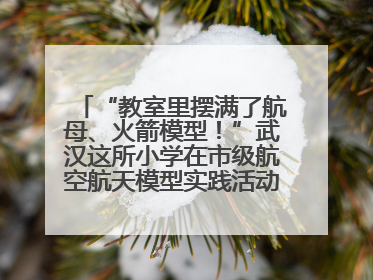 “教室里摆满了航母、火箭模型！”武汉这所小学在市级航空航天模型实践活动中获佳绩