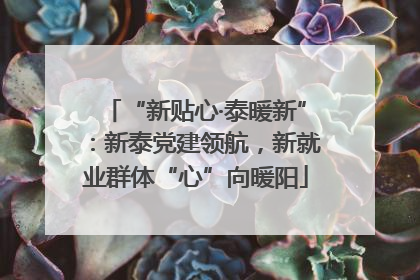 “新贴心·泰暖新”：新泰党建领航，新就业群体“心”向暖阳