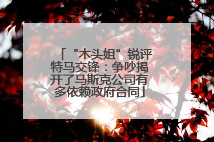 “木头姐”锐评特马交锋：争吵揭开了马斯克公司有多依赖政府合同