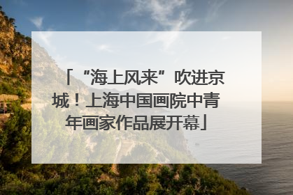 “海上风来”吹进京城！上海中国画院中青年画家作品展开幕