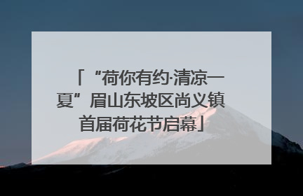 “荷你有约·清凉一夏”眉山东坡区尚义镇首届荷花节启幕