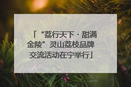 “荔行天下・甜满金陵”灵山荔枝品牌交流活动在宁举行