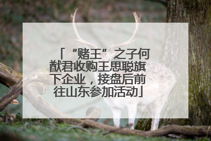 “赌王”之子何猷君收购王思聪旗下企业，接盘后前往山东参加活动