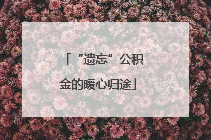 “遗忘”公积金的暖心归途