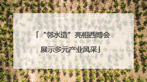“邻水造”亮相西博会 展示多元产业风采