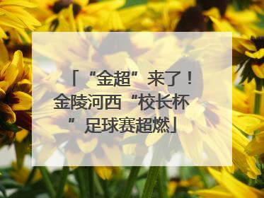 “金超”来了！金陵河西“校长杯”足球赛超燃