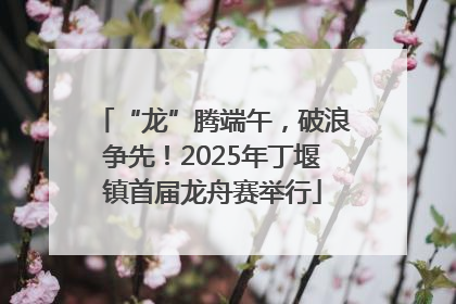 “龙”腾端午，破浪争先！2025年丁堰镇首届龙舟赛举行