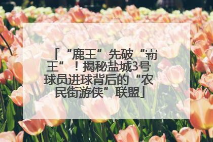 “鹿王”先破“霸王”！揭秘盐城3号球员进球背后的“农民街游侠”联盟