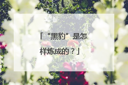 “黑豹”是怎样炼成的？