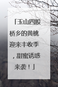 玉山四股桥乡的黄桃迎来丰收季，甜蜜诱惑来袭！