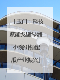玉门：科技赋能戈壁绿洲 小院引领蜜瓜产业振兴
