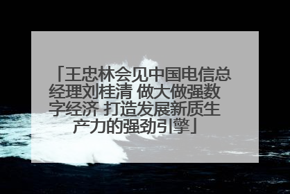 王忠林会见中国电信总经理刘桂清 做大做强数字经济 打造发展新质生产力的强劲引擎